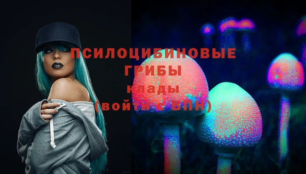 ешки Верхний Тагил